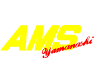 AMSǯޡ